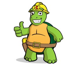 Caretta entry by john12343