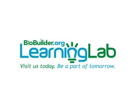 BioBuilder Learning Lab entry by pingpong