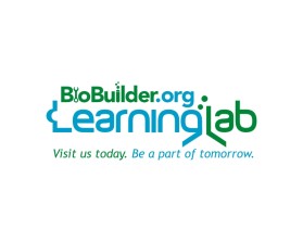 BioBuilder Learning Lab entry by pingpong