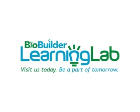 BioBuilder Learning Lab entry by pingpong