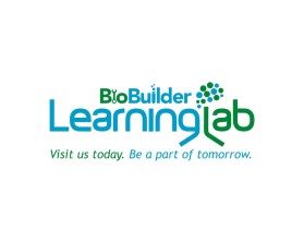BioBuilder Learning Lab entry by pingpong