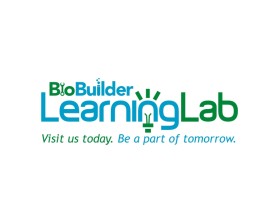 BioBuilder Learning Lab entry by pingpong