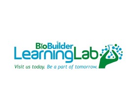 BioBuilder Learning Lab entry by pingpong