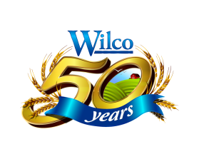 Wilco entry by Ephraim Natindim