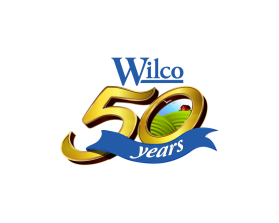 Wilco entry by Ephraim Natindim