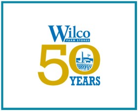 Wilco entry by David Field