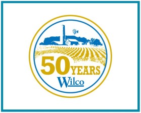 Wilco entry by David Field