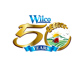 Wilco entry by Joel Bonete