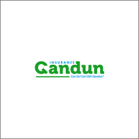 Qandun Insurance Agency entry by chart