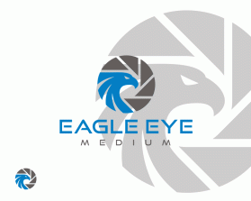 Eagle Eye Medium entry by pingpong
