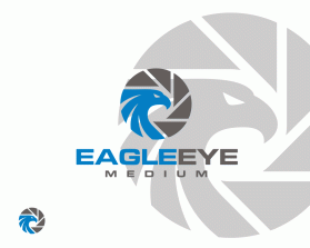 Eagle Eye Medium entry by pingpong