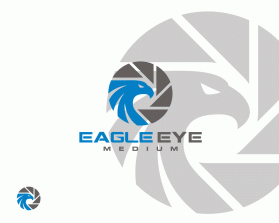 Eagle Eye Medium entry by pingpong