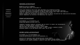 Resume for accounting entry by adyyy