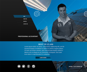 Resume for accounting entry by CkPrimeTechnologies