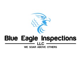 Blue Eagle Inspections, LLC entry by DRAGONSTAR