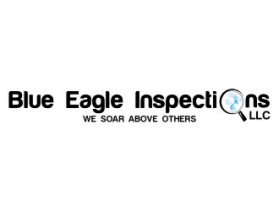 Blue Eagle Inspections, LLC entry by DRAGONSTAR