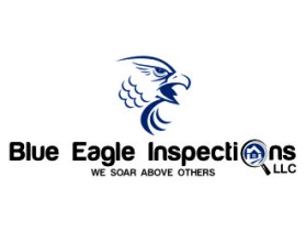 Blue Eagle Inspections, LLC entry by DRAGONSTAR