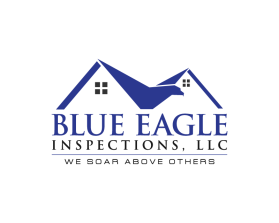 Blue Eagle Inspections, LLC entry by dsdezign