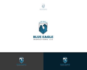 Blue Eagle Inspections, LLC entry by lumerb