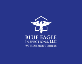 Blue Eagle Inspections, LLC entry by Suleymanov