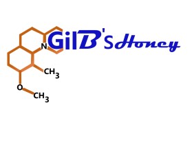 GilBee's Honey  entry by Ratikanta Mahapatra