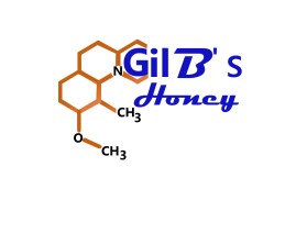 GilBee's Honey  entry by Ratikanta Mahapatra