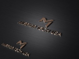 Mirror Tech USA entry by Ma'un