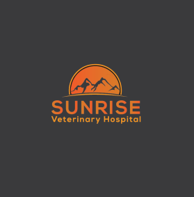 Sunrise Veterinary Hospital entry by NAVEED AHMED