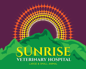 Sunrise Veterinary Hospital entry by Doriana Petrova Ivanova