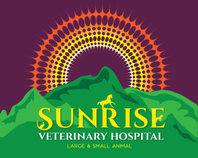 Sunrise Veterinary Hospital entry by Doriana Petrova Ivanova