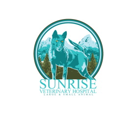 Sunrise Veterinary Hospital entry by Harmeet Singh