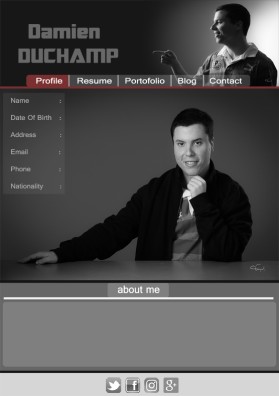 Web Design entry 1266782 submitted by inEdesign to the Web Design for Damien DUCHAMP run by damien951