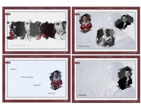 Web Design entry 1266783 submitted by inEdesign to the Web Design for Damien DUCHAMP run by damien951