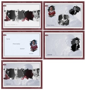 Web Design entry 1266784 submitted by inEdesign to the Web Design for Damien DUCHAMP run by damien951