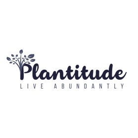 Winning entry: Plantitude entry by stwe