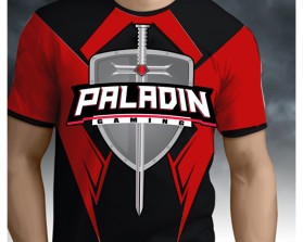 Paladin entry by unrain ionut