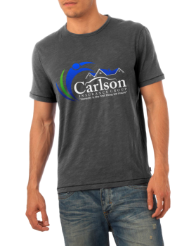 Carlson Insurance Group   www.carlsoninsurancegroup.com entry by Nyal_Nyul