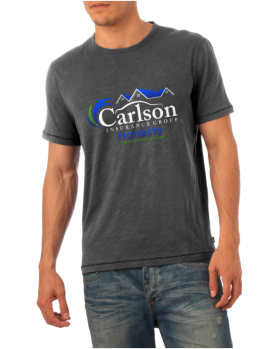 Carlson Insurance Group   www.carlsoninsurancegroup.com entry by Nyal_Nyul