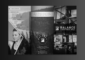 Balance Chestnut Hill entry by JMTech
