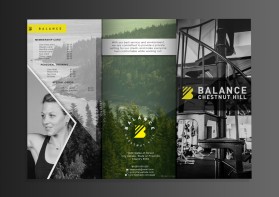 Balance Chestnut Hill entry by JMTech