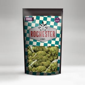 Rochester Farms entry by JMTech