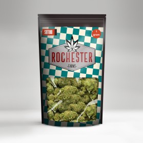 Rochester Farms entry by JMTech