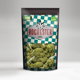 Rochester Farms entry by JMTech