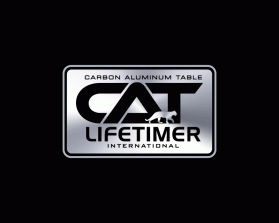 LIFETIMER INTERNATIONAL entry by dsdezign