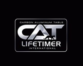 LIFETIMER INTERNATIONAL entry by dsdezign
