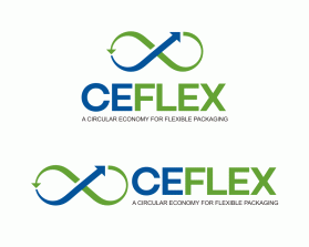 Winning entry: CEFLEX entry by pingpong