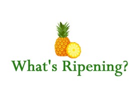 What's Ripening? entry by vblue