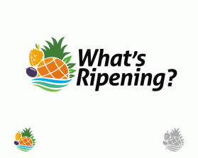 What's Ripening? entry by pingpong