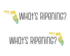 What's Ripening? entry by quimcey