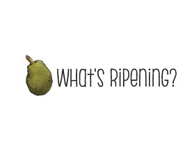 What's Ripening? entry by quimcey